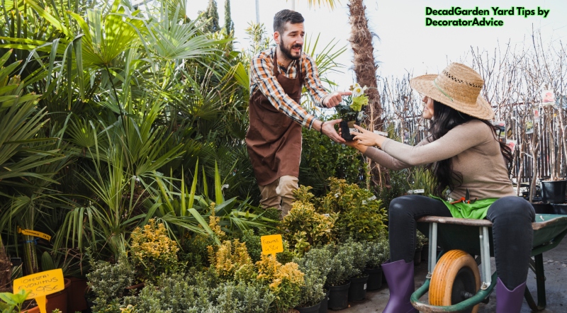 DecadGarden Yard Tips by DecoratorAdvice
